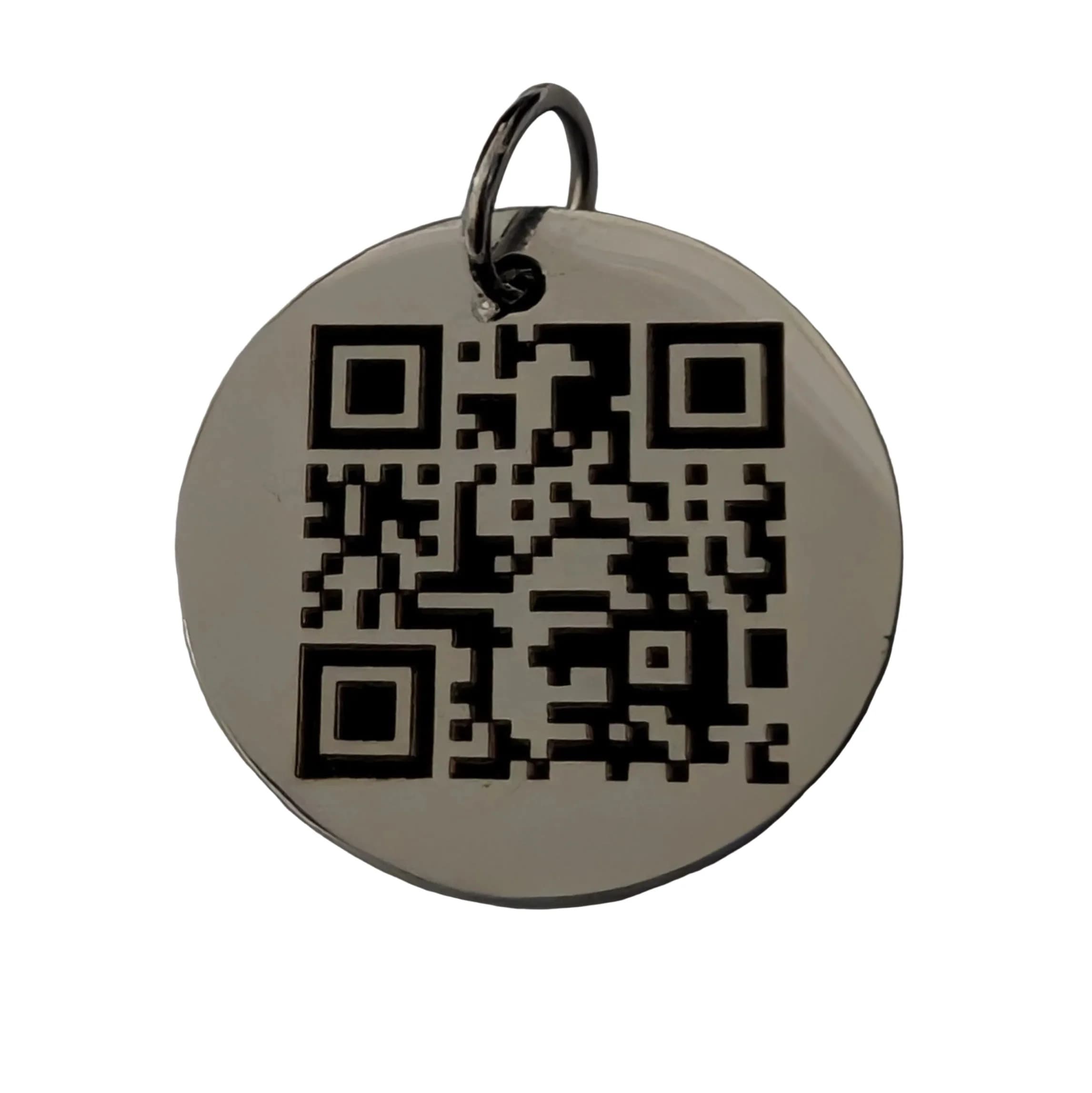 25mm Silver Pet Tag 2