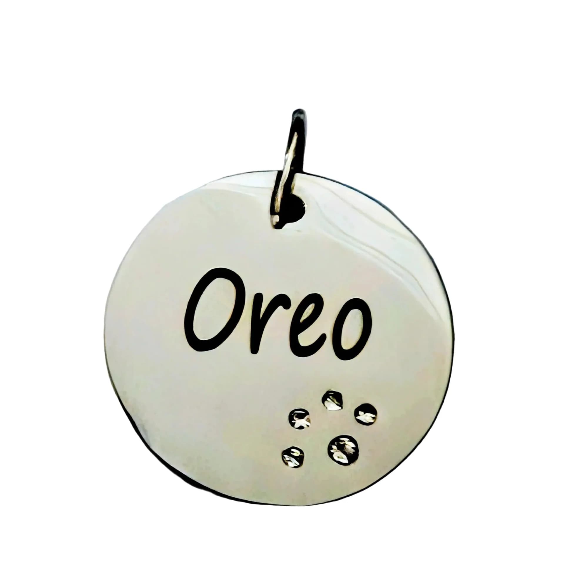 25mm Silver Pet Tag